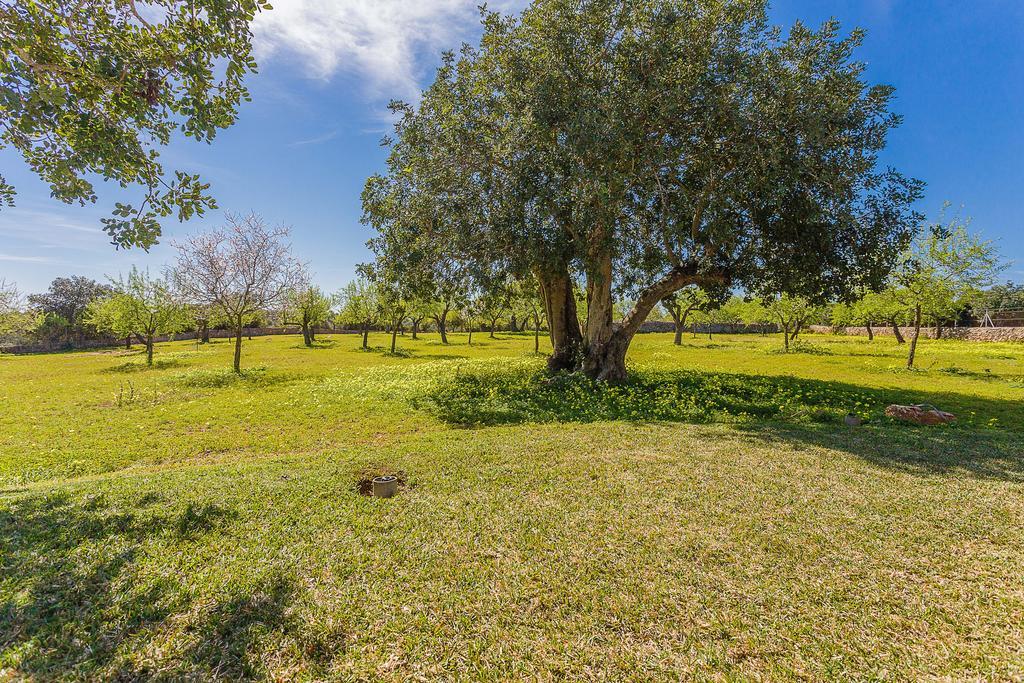 Finca Sa Foradada Cala D´Or Kültér fotó